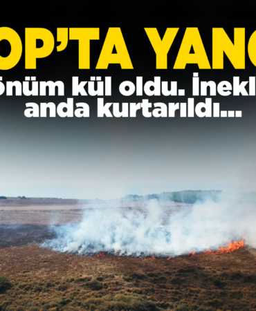 Sinop'taki yangında 20 dönümlük alan kül oldu