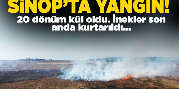 Sinop'taki yangında 20 dönümlük alan kül oldu