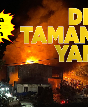 Sinop'taki büyük yangın kontrol altına alındı