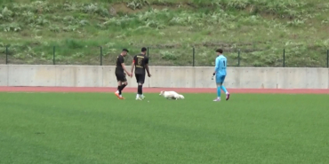 Sahaya giren köpek tansiyonu düşürdü