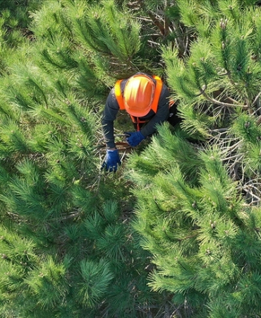 Sinop’un iki ilçesine OGM işçi alımı yapacak