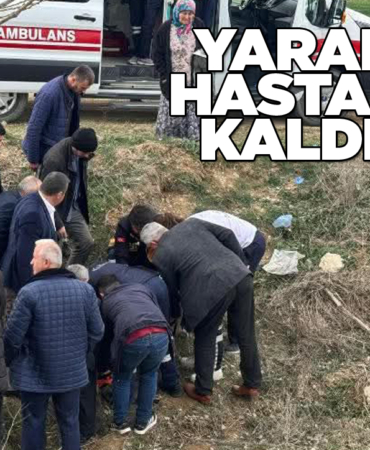 Sinop-Kastamonu yolunda kaza