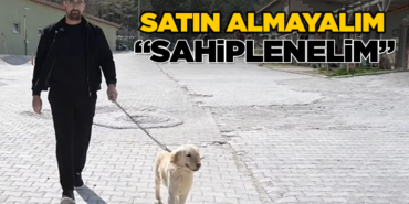 Sinoplu vatandaştan sahipsiz hayvanlar için duyarlı çağrı