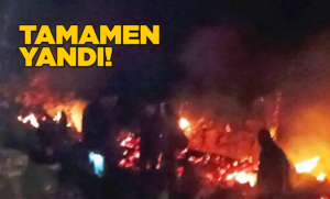 Sinop’ta yayla evinde yangın çıktı