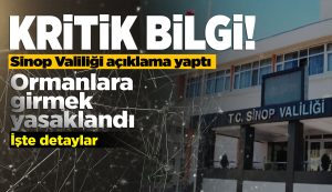 Sinop Valiliğinden kritik karar: Ormanlara giriş yasak!