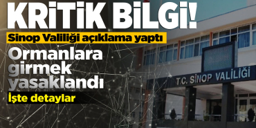Sinop Valiliğinden kritik karar: Ormanlara giriş yasak!