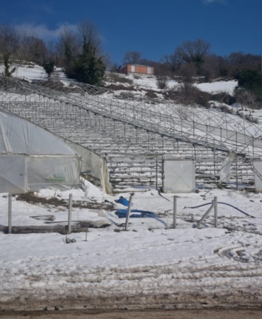 SERALAR AŞIRI KARA DAYANAMADI!
