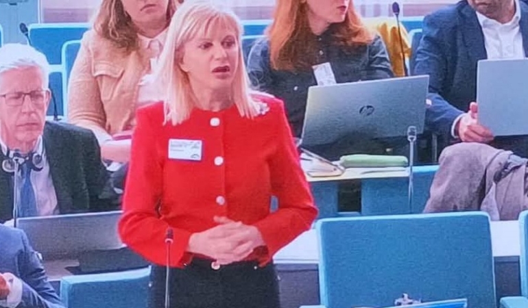 Sinoplu Doktor Bozatlı'dan Avrupa Konseyi'nde kritik konuşma