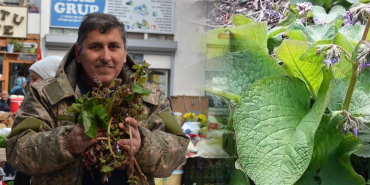 Sinop ormanlarının gizli şifası tezgahlarda