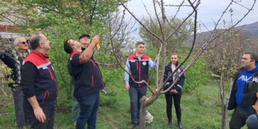 Tangal köyünde Uygulamalı Ağaç Budama Eğitimi verildi