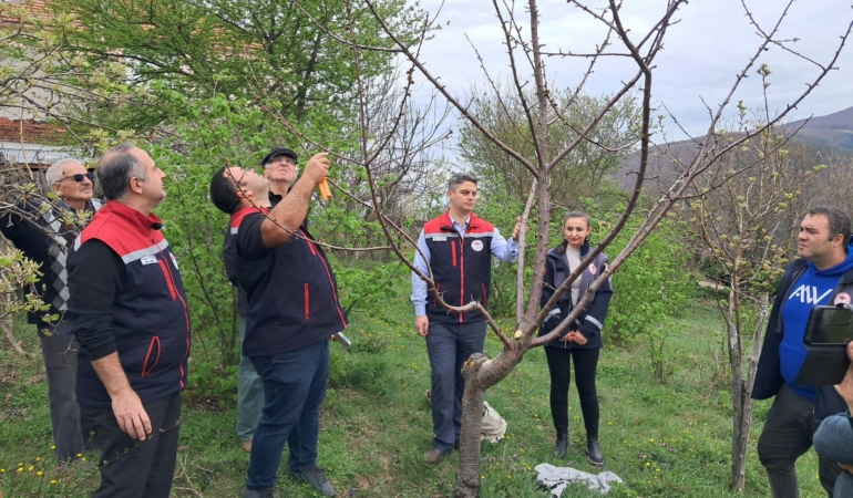 Tangal köyünde Uygulamalı Ağaç Budama Eğitimi verildi
