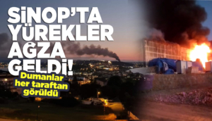 Sinop'ta büyük yangın. Ekipler seferber oldu!