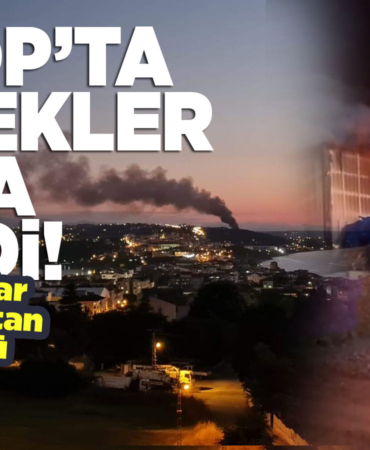 Sinop'ta büyük yangın. Ekipler seferber oldu!