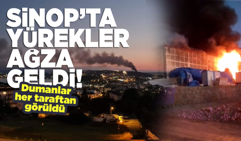 Sinop’ta büyük yangın. Ekipler seferber oldu!