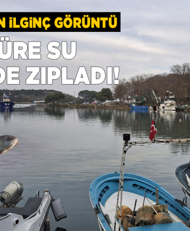 Sinop’ta zıplayan balık kameraya yansıdı