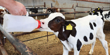 05-2022-01-agustos-15-agustos-18-20220817-2-54753487-79951331