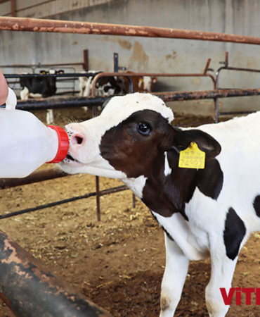 05-2022-01-agustos-15-agustos-18-20220817-2-54753487-79951331