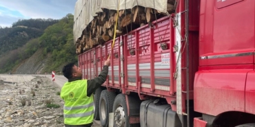 Sinop ormanlarında sıkı denetim