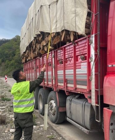 Sinop ormanlarında sıkı denetim