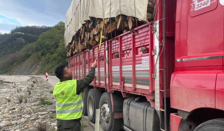 Sinop ormanlarında sıkı denetim