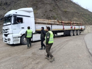 Sinop’ta orman ürünlerine sıkı denetim