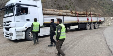 Sinop’ta orman ürünlerine sıkı denetim
