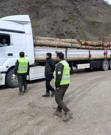 Sinop’ta orman ürünlerine sıkı denetim
