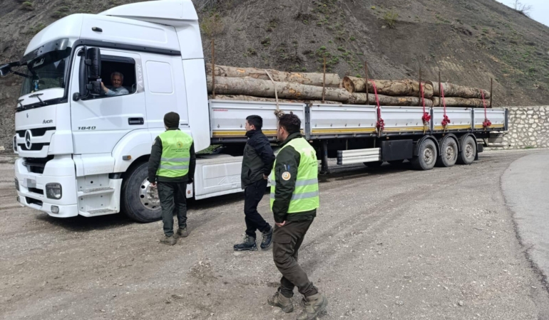 Sinop’ta orman ürünlerine sıkı denetim