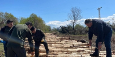 Sinop’ta orman emvallerinde barkod uygulaması