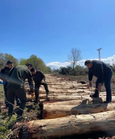 Sinop’ta orman emvallerinde barkod uygulaması