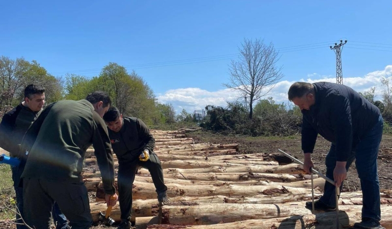Sinop’ta orman emvallerinde barkod uygulaması