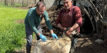 491460685-18053586854517720-2408207684172929548-n