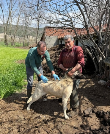 491460685-18053586854517720-2408207684172929548-n