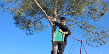 492224042-10042640605769247-574251528723389207-n