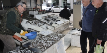 Sinopluların tercihi mezgit balığı oldu