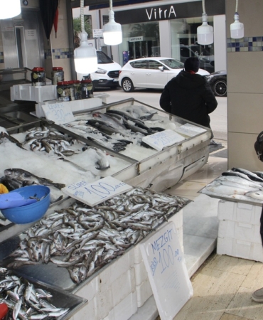 Sinopluların tercihi mezgit balığı oldu