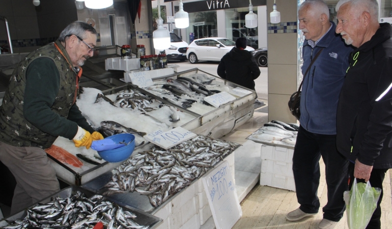 Sinopluların tercihi mezgit balığı oldu