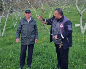 Sinop'ta çiftçiler, zirai don tehlikesine karşı bilgilendirildi
