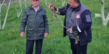 Sinop'ta çiftçiler, zirai don tehlikesine karşı bilgilendirildi