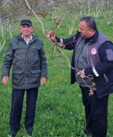 Sinop'ta çiftçiler, zirai don tehlikesine karşı bilgilendirildi