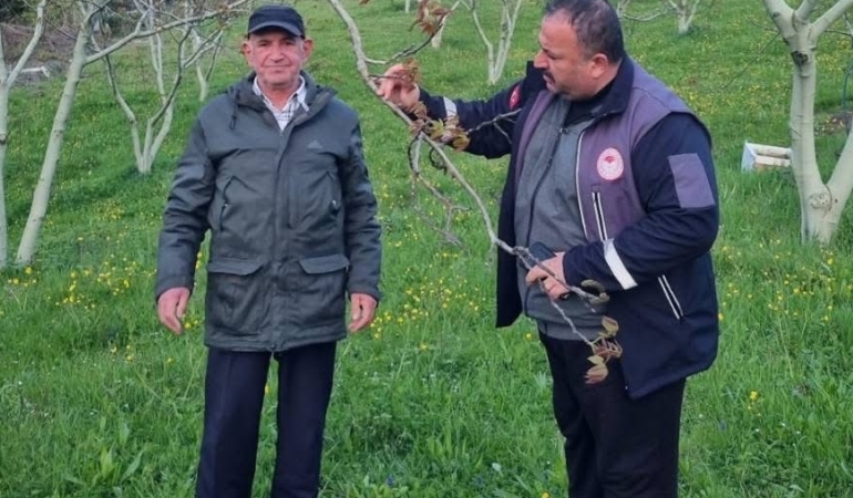 Sinop’ta çiftçiler, zirai don tehlikesine karşı bilgilendirildi
