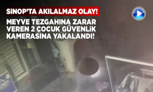 Sinop’ta 2 çocuk meyve tezgahına zarar verdi