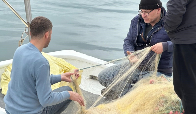 Sinop'ta balıkçılar sezonu mutlu kapatıyor