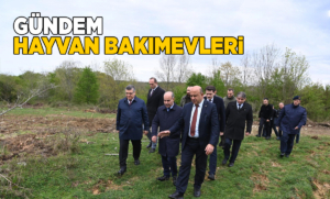 Bakan Yardımcısı Mehmet Aktaş Sinop’a geldi