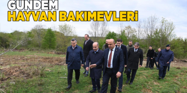 Bakan Yardımcısı Mehmet Aktaş Sinop’a geldi