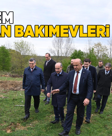 b-a-k-a-n-y-a-r-d-i-m-c-i-s-i