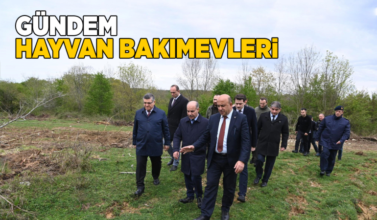 Bakan Yardımcısı Mehmet Aktaş Sinop’a geldi
