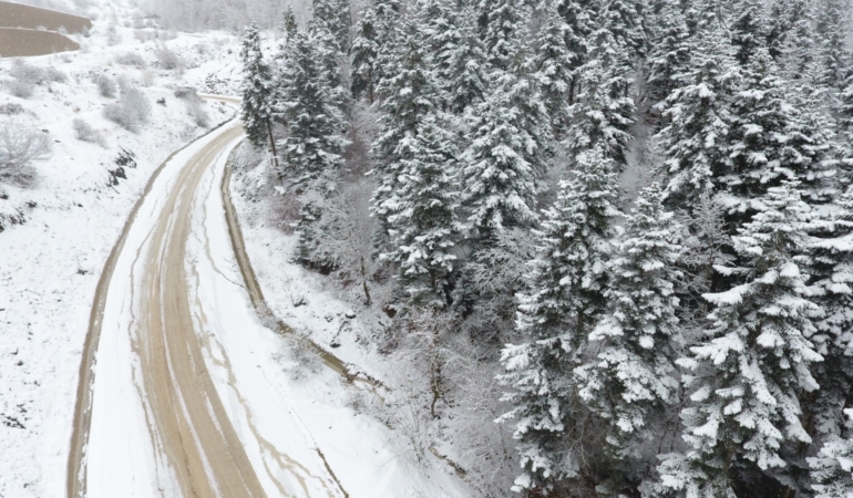 SİNOP İLKBAHARDA KIŞI YAŞIYOR