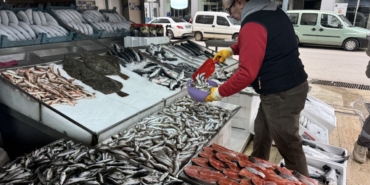 Sinop'ta balıkçılar, sezonu mutlu kapatıyor