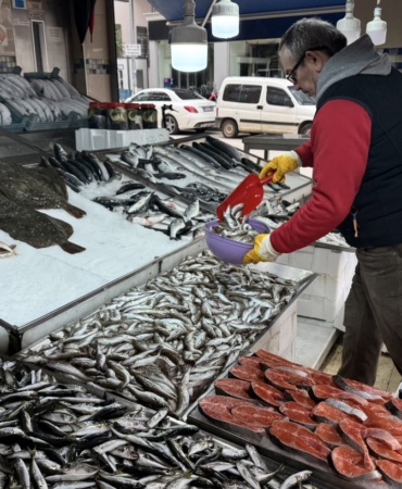 Sinop'ta balıkçılar, sezonu mutlu kapatıyor